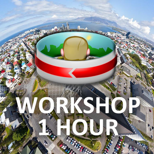 Private Panoramic Photography And Virtual Tour Consultation (1 hour): "I have a question" Workshops PanoSociety 